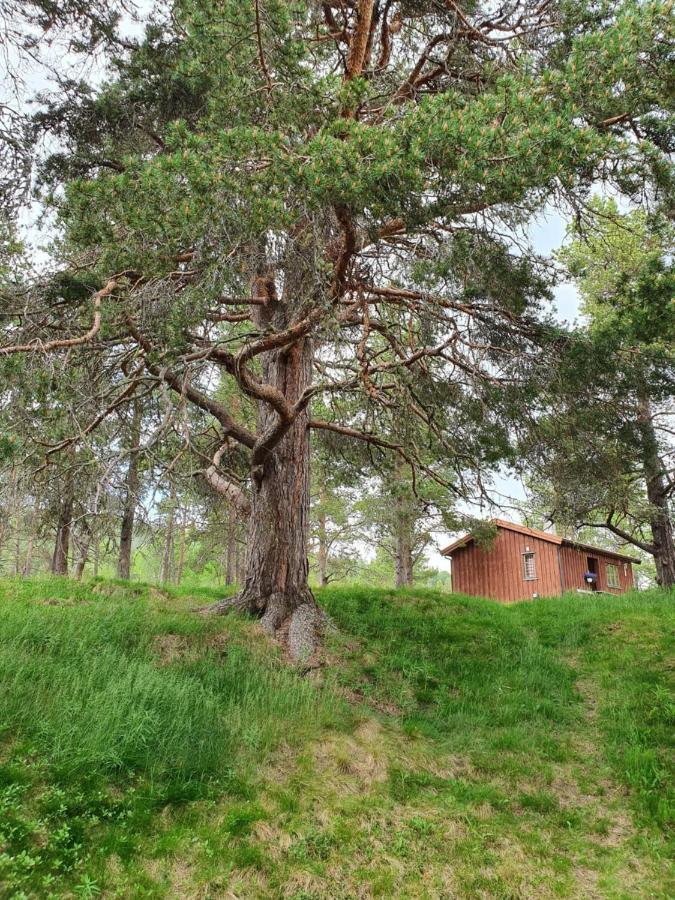 Borkhushyttene Villa Rundtom Exteriör bild